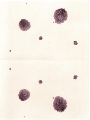 Sternbilder-Negative