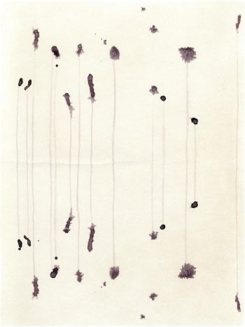 Sternbilder-Negative