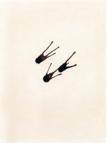 Sternbilder-Negative