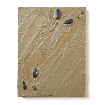 cascading-tides-quadrat