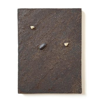 cascading-tides-quadrat