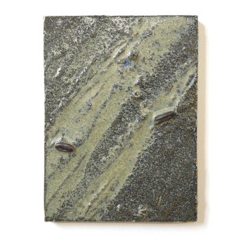 cascading-tides-quadrat