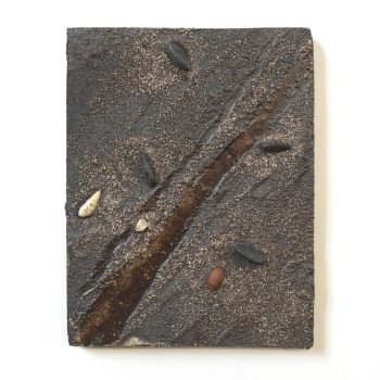 cascading-tides-quadrat