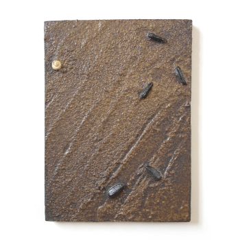 cascading-tides-quadrat