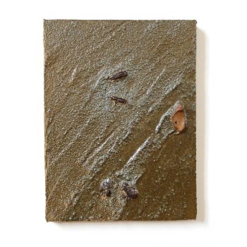 cascading-tides-quadrat