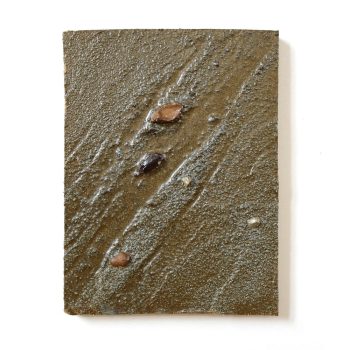 cascading-tides-quadrat