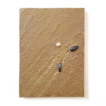 cascading-tides-quadrat