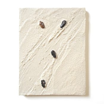 cascading-tides-quadrat