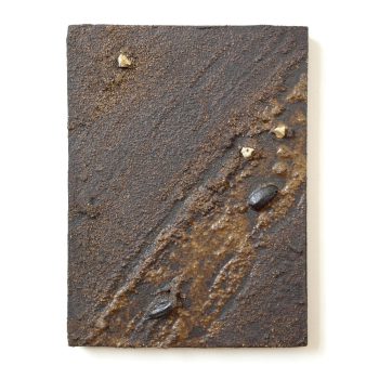 cascading-tides-quadrat