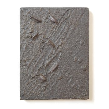 cascading-tides-quadrat