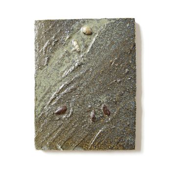 cascading-tides-quadrat