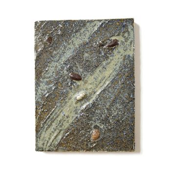 cascading-tides-quadrat