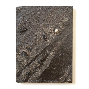 cascading-tides-quadrat