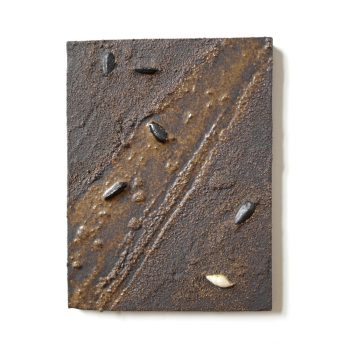 cascading-tides-quadrat