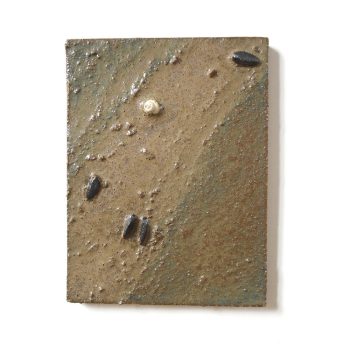 cascading-tides-quadrat