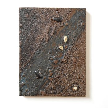 cascading-tides-quadrat