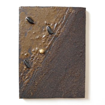 cascading-tides-quadrat