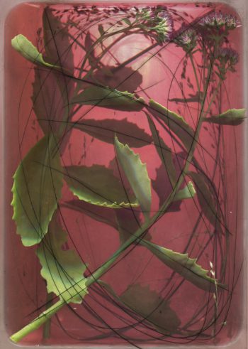 fit-me-flowers-hochkant