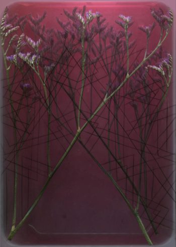 fit-me-flowers-hochkant