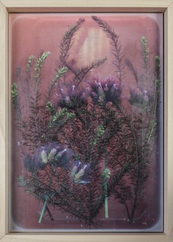 fit-me-flowers-hochkant